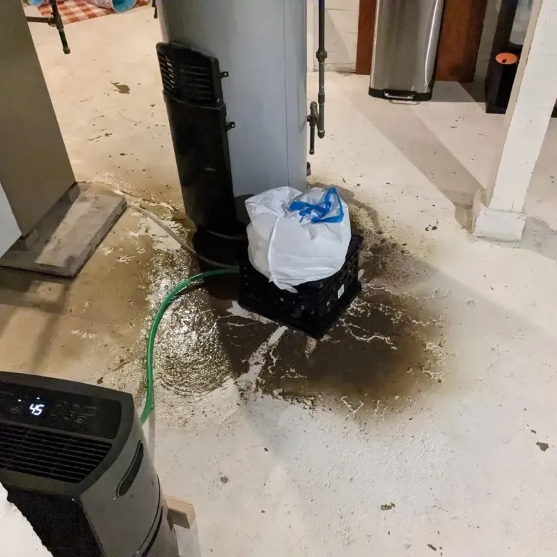 Sewage Backup Cleanup Service in Clarion, PA